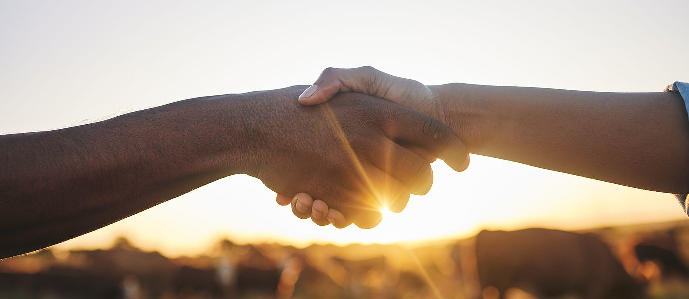 Sustainability Handshake Handshake