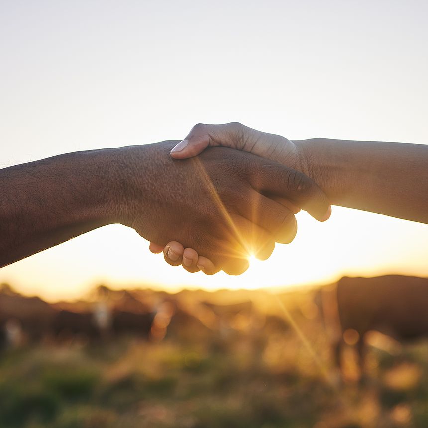 Handshake 